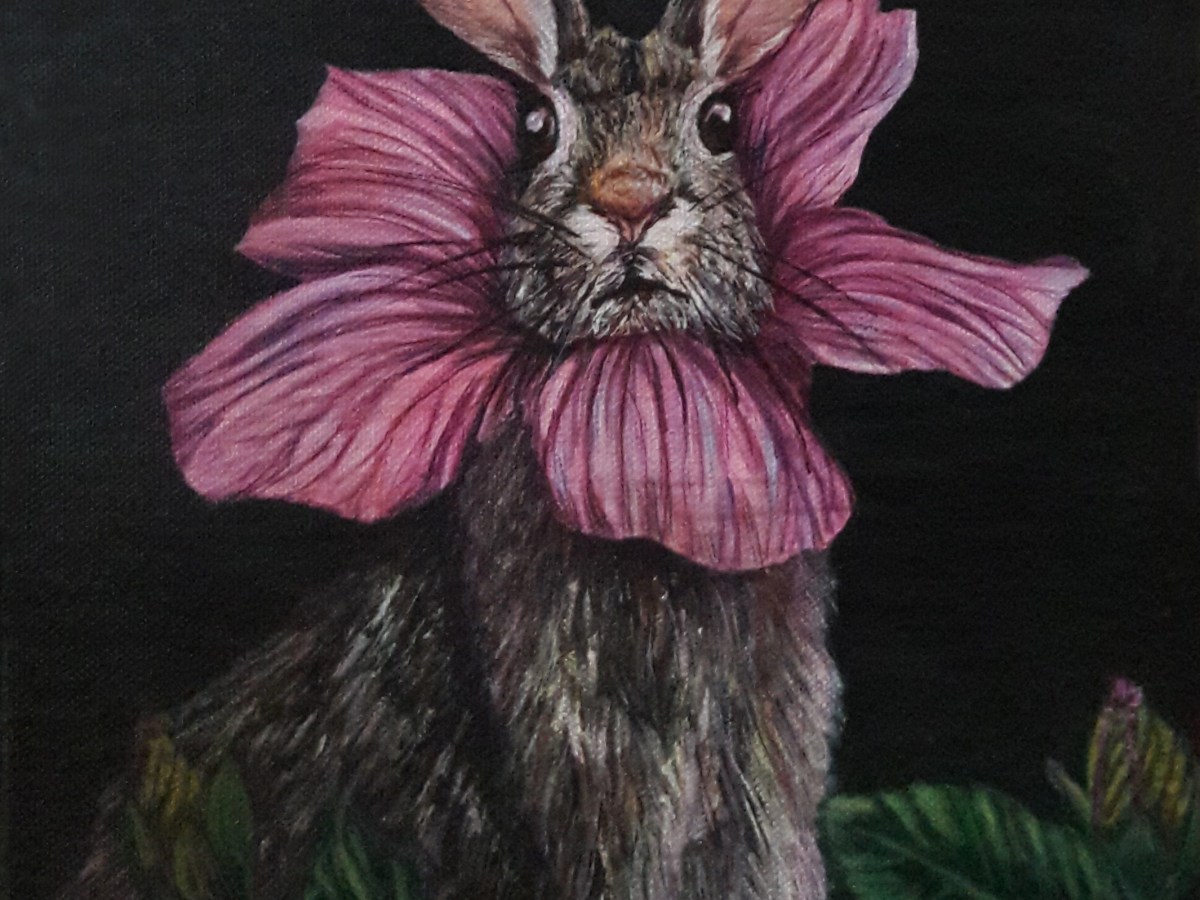 Conejo del bosque&nbsp;nocturno