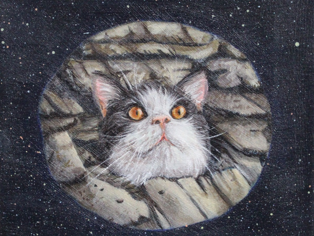 Un hoyo en el&nbsp;universo