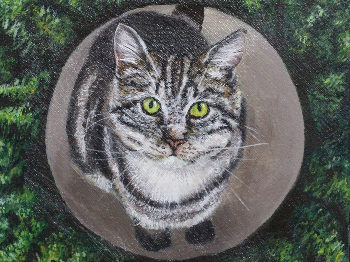 Un punto en el&nbsp;bosque