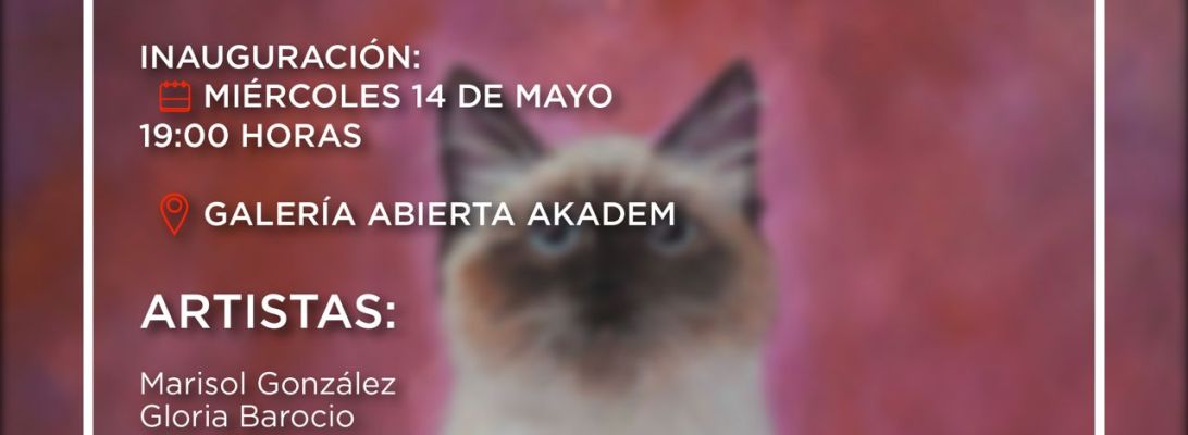 Exposición Cat Café 3era. Edición, inauguración 14 de mayo 19:00 hrs., Galería Abierta Akadem, expo venta