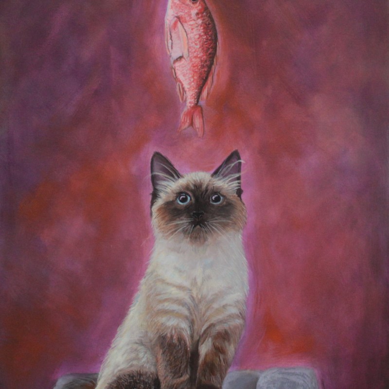 Uno ojo al gato y otro al garabato